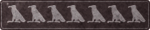 Administrateur Administrateur